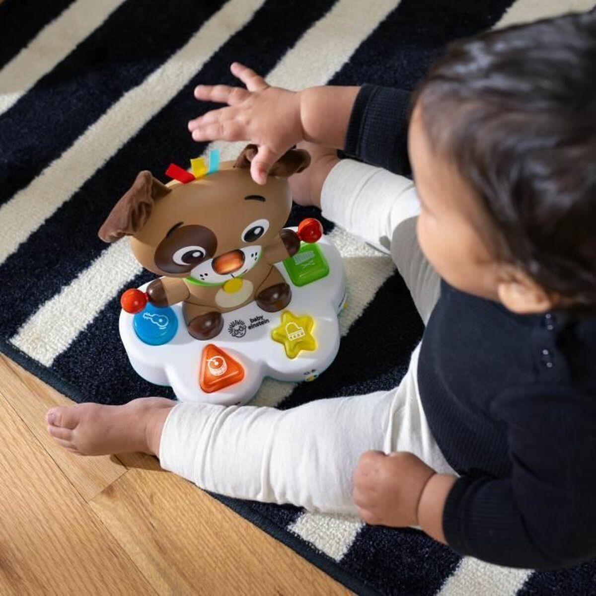 Jucărie muzicală Baby Einstein Ocean Ocean - Bebelus, Jucăriile copilăriei timpurii