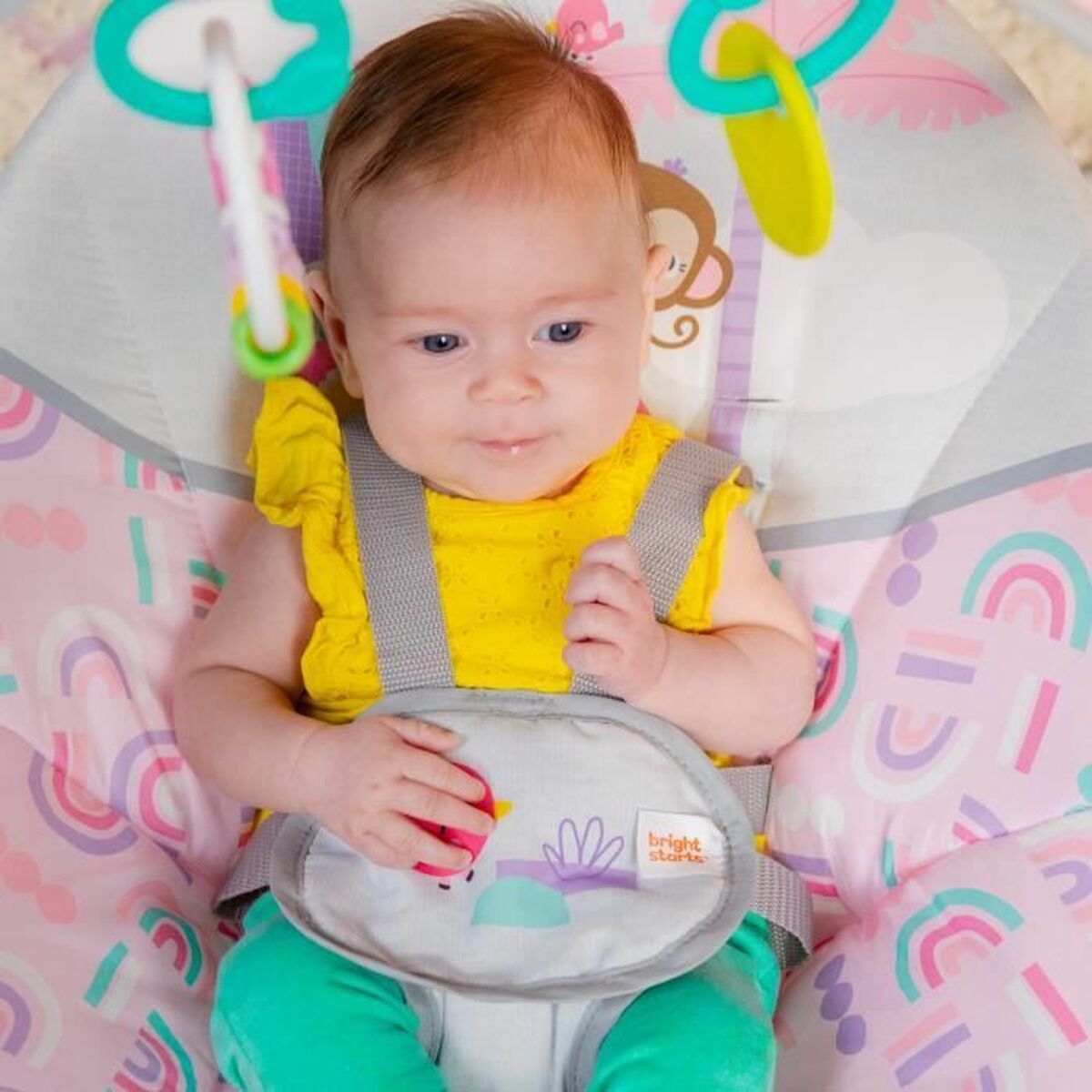 Hamac pentru Bebeluș Bright Starts Pink Paradise Roz - Bebelus, Dormitor