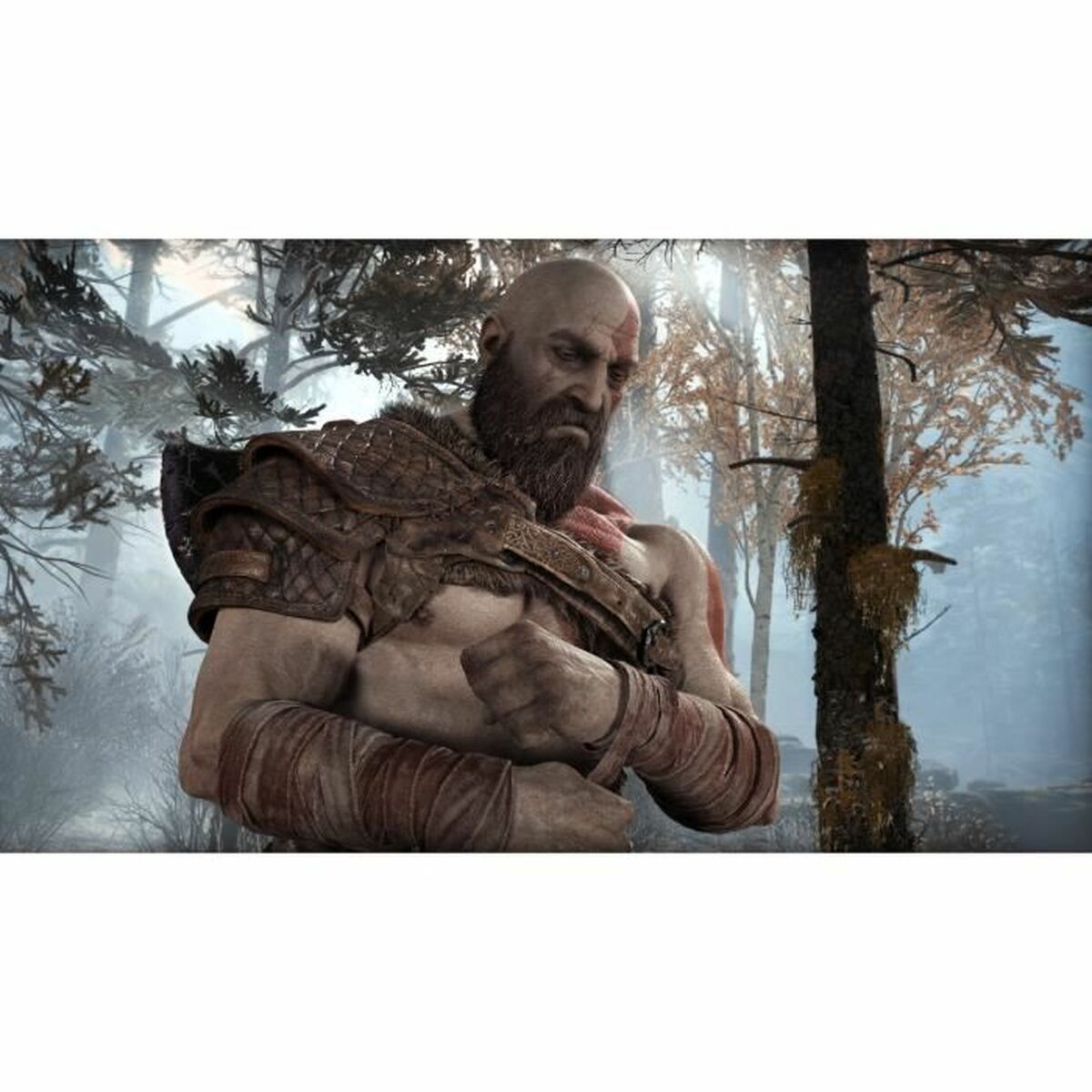 Joc video PlayStation 4 Santa Monica Studio Gof of War Playstation Hits - Electronică, Joc video
