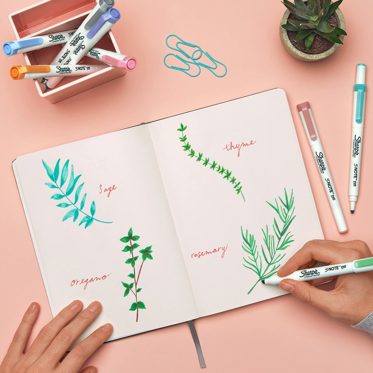 Set de Carioci Sharpie S-Note Duo Double 16 Piese - Birou și papetărie, Pixuri, creioane și articole de scris