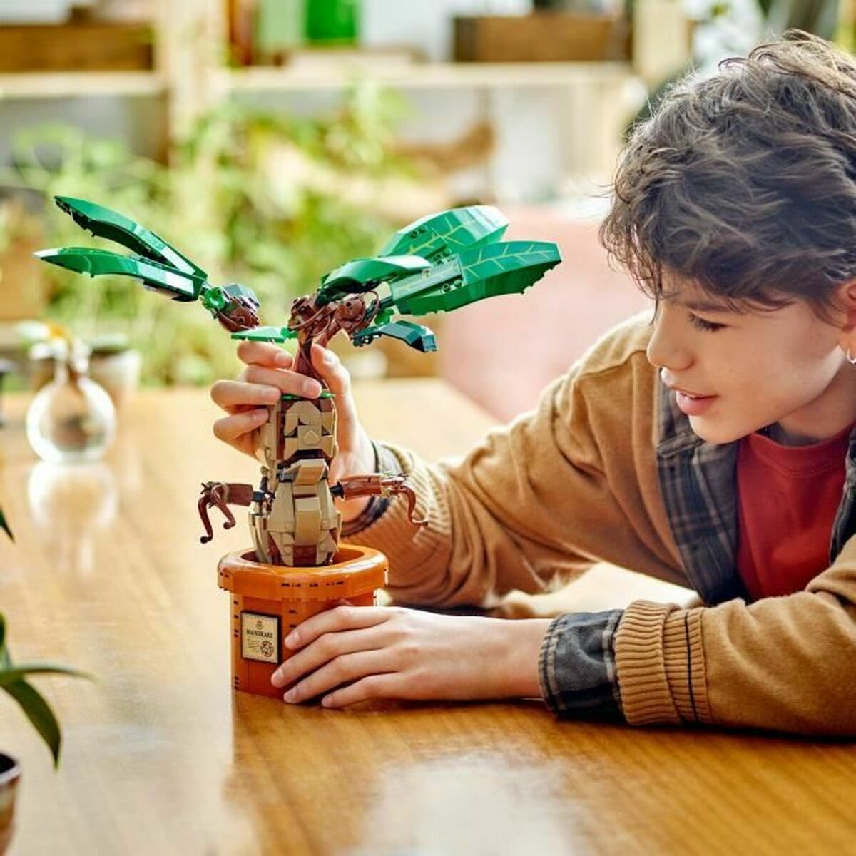 Set de Construcție Lego Harry Potter Multicolor - Jucarii si jocuri