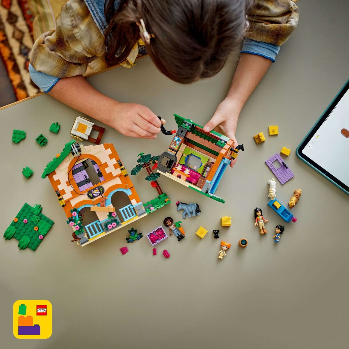 Set de Construcție Lego 42654 - Jucarii si jocuri