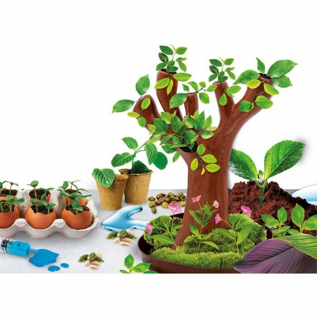 Joc de știință Lisciani Giochi Botanique (FR) - Jucarii si jocuri, Învățare și educație