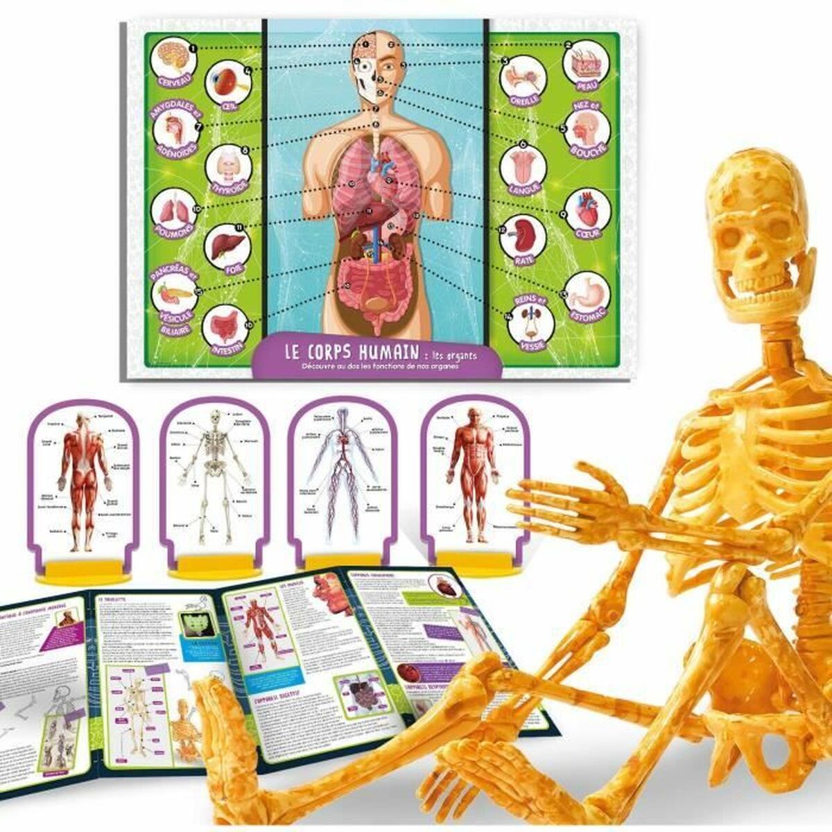 Joc de știință Lisciani Giochi - Jucarii si jocuri, Învățare și educație