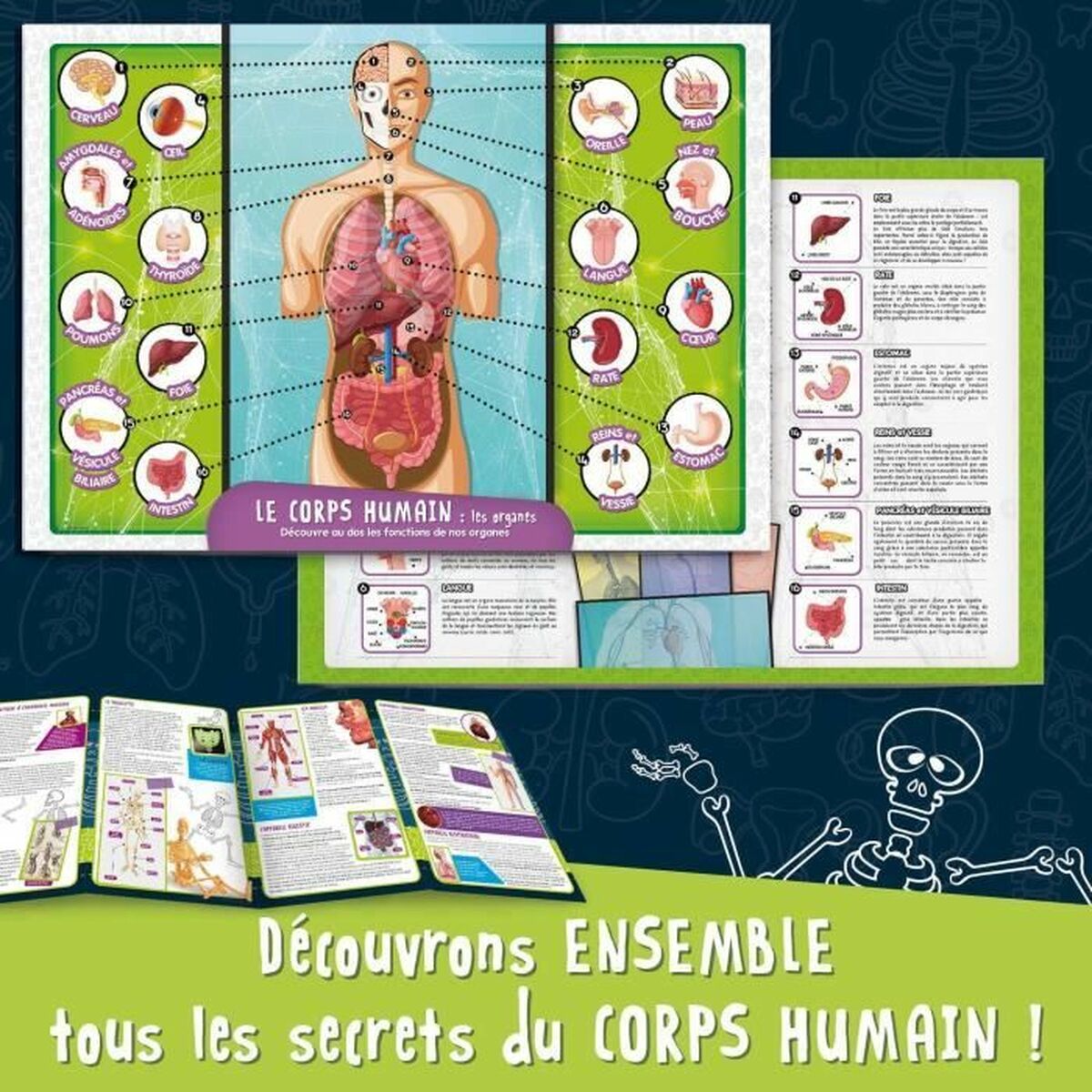 Joc de știință Lisciani Giochi - Jucarii si jocuri, Învățare și educație
