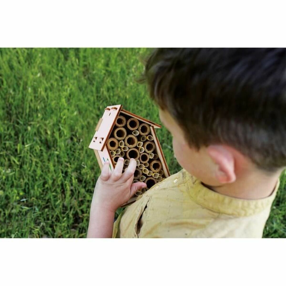 Joc de știință Lisciani Giochi - Jucarii si jocuri, Învățare și educație