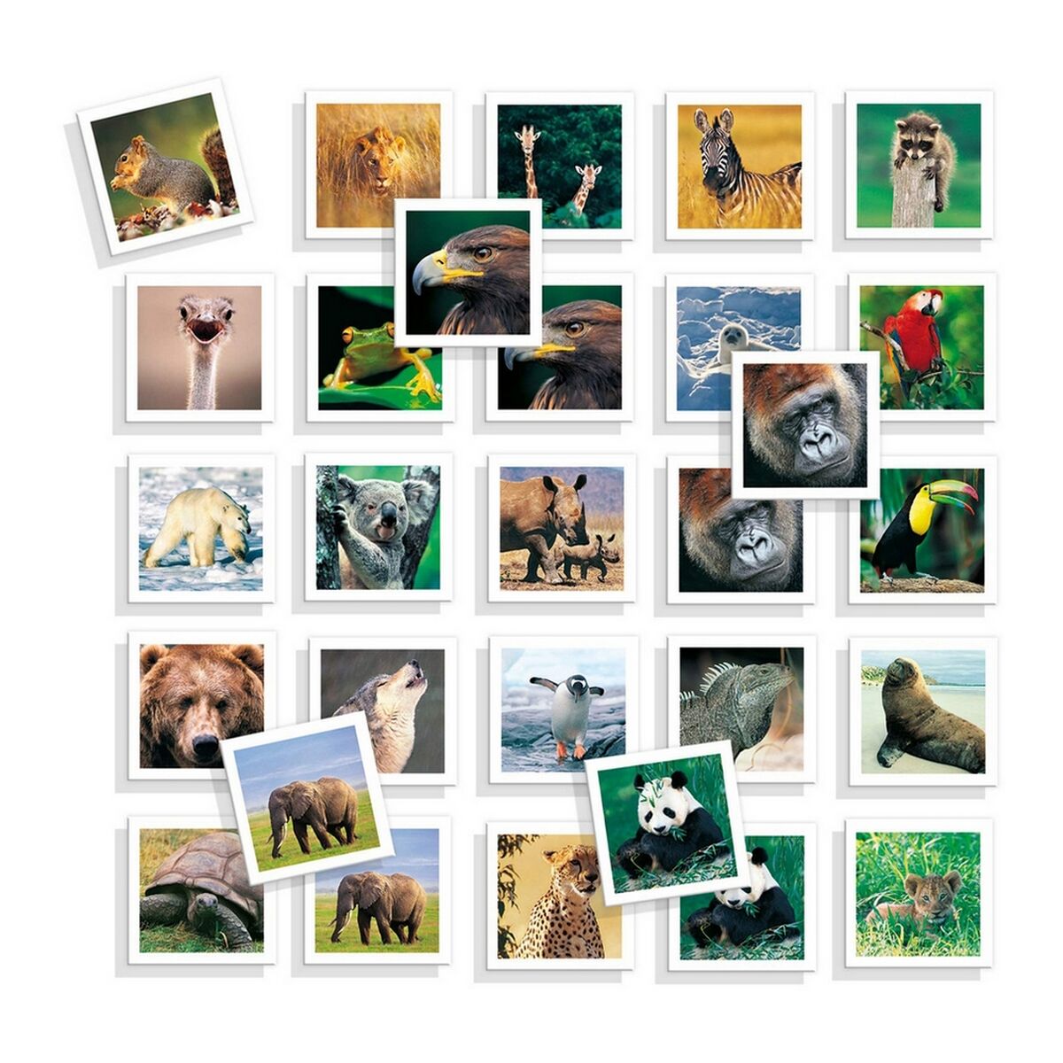 Joc Educativ Diset Memo Photo Animales 54 Piese - Jucarii si jocuri, Jocuri și accesorii