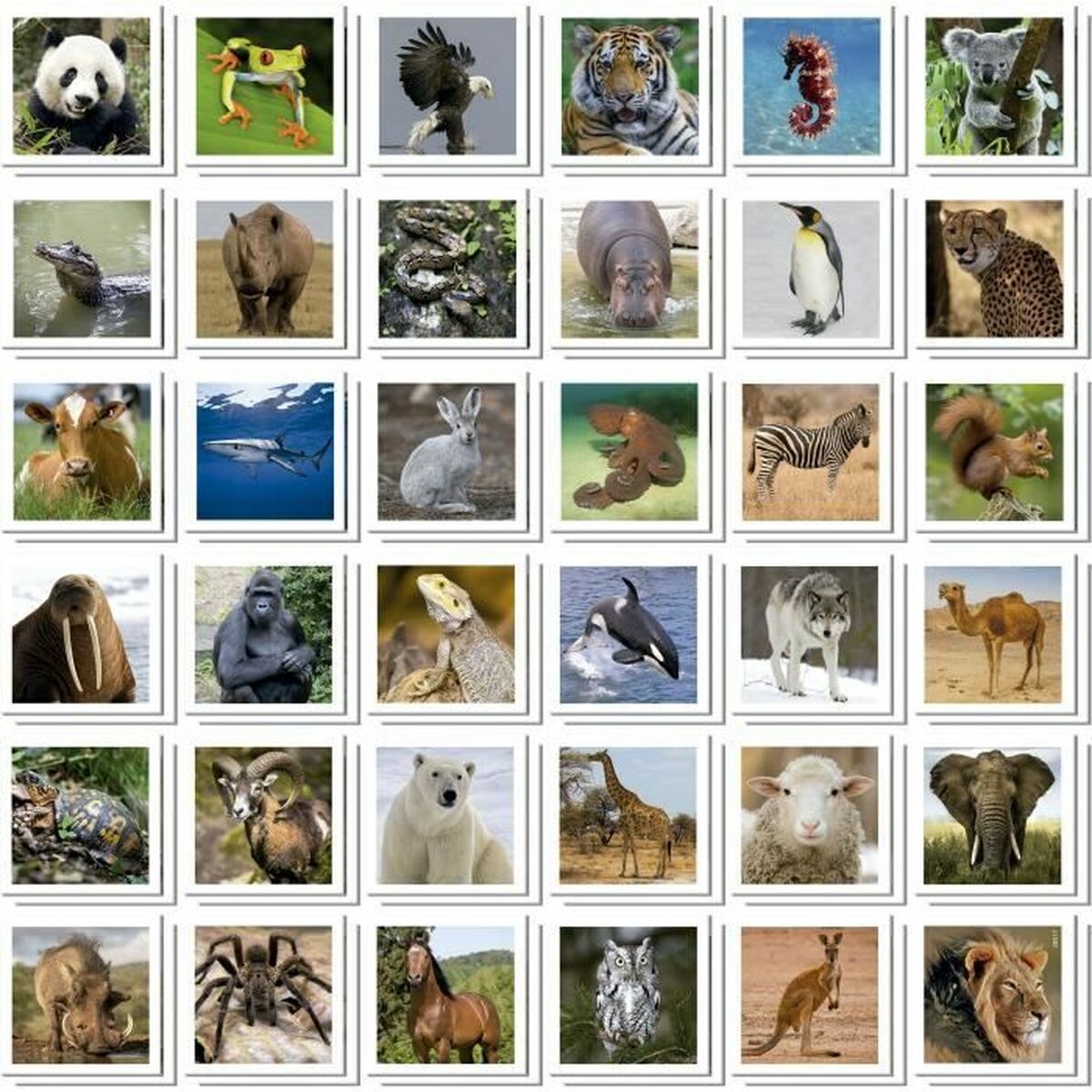 Joc de Memorie Educa Identic Memo Animals - Jucarii si jocuri, Jocuri și accesorii