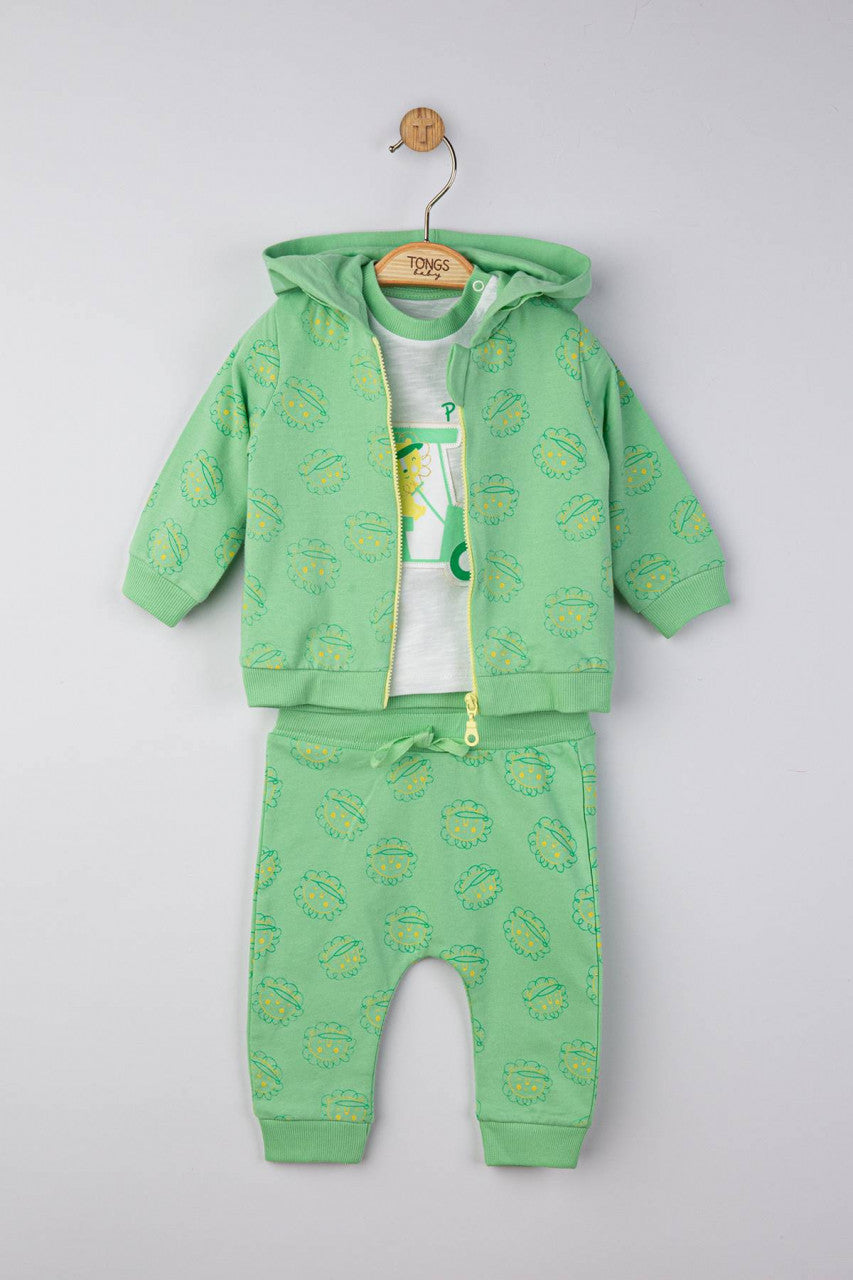 Set 3 piese: pantaloni, tricou si hanorac pentru bebelusi, Tongs baby
