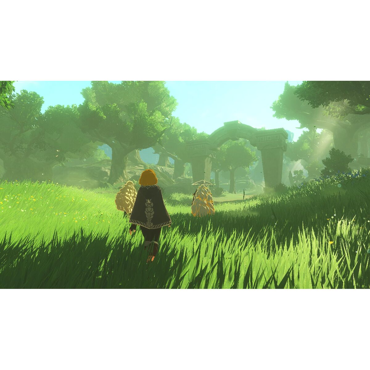 Consolă de Jocuri Portabilă Nintendo HYRULE W ERA DST - Electronică, Joc video