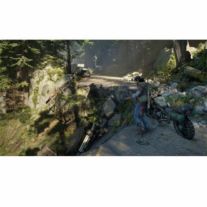 Joc video PlayStation 4 Sony Days Gone - Electronică, Joc video