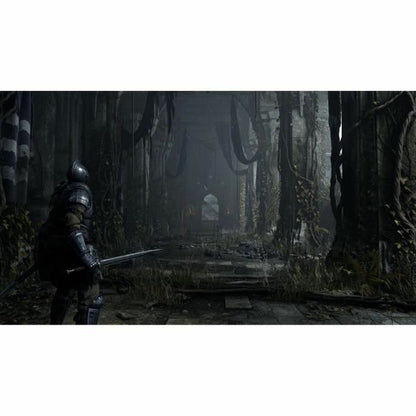 Joc video PlayStation 5 Sony Demon's Souls - Electronică, Joc video