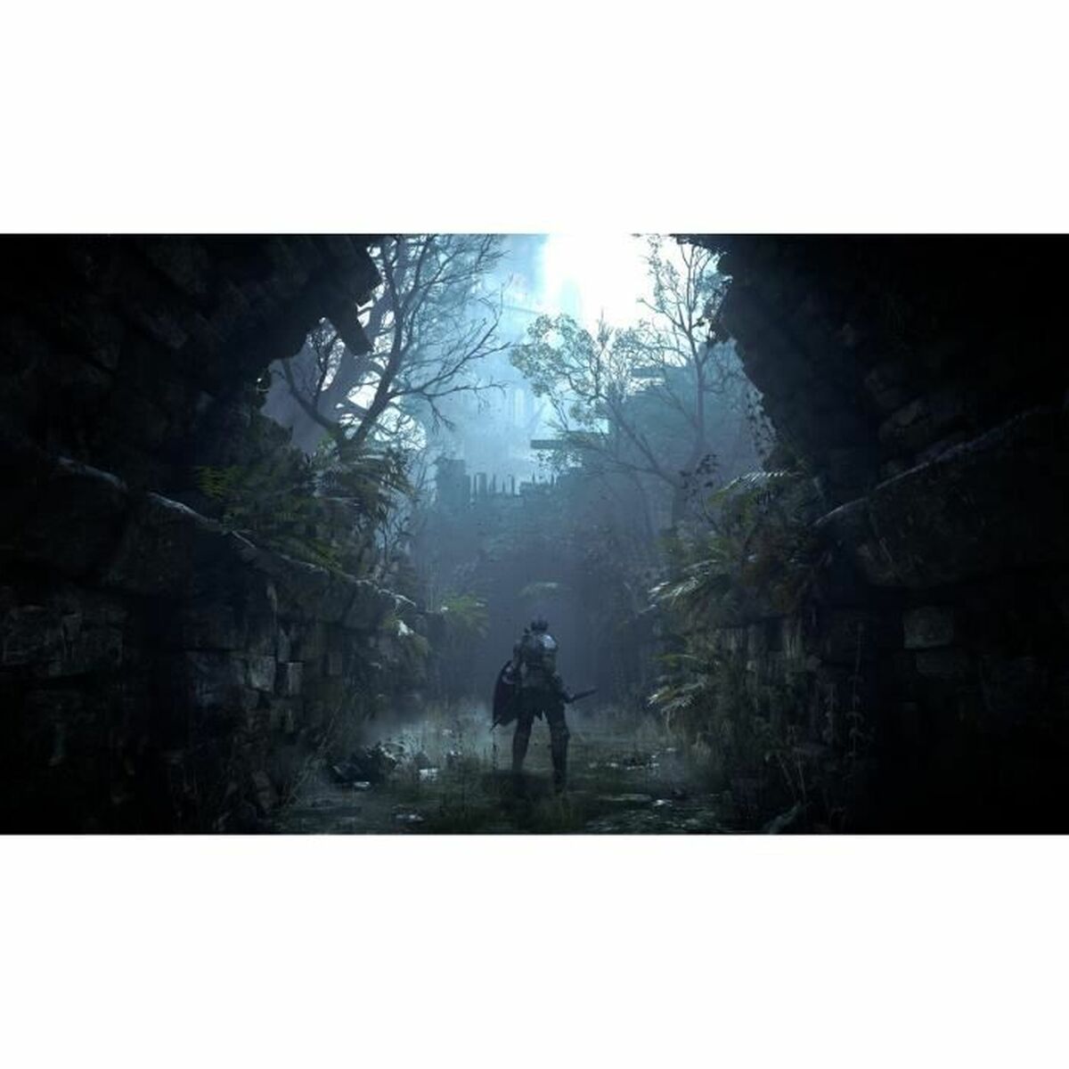 Joc video PlayStation 5 Sony Demon's Souls - Electronică, Joc video