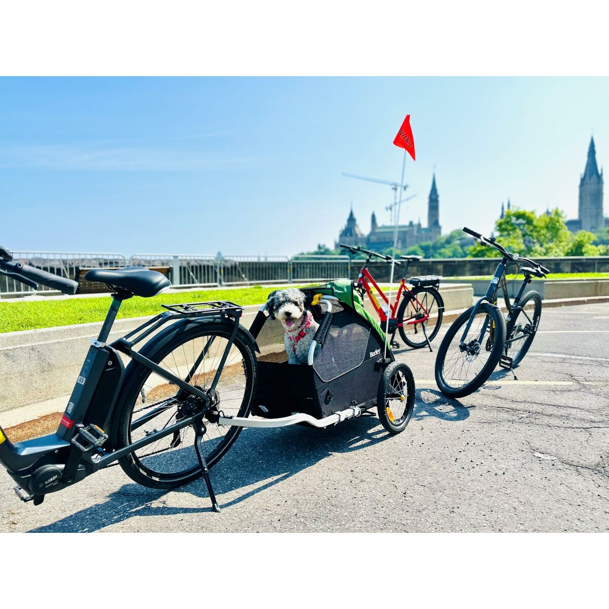 Bară Burley BU-947108 - Sport și în aer liber, Ciclism