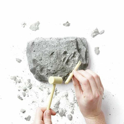 Joc Educativ - Jucarii si jocuri, Jocuri și accesorii