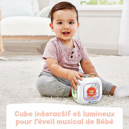 Joc din lemn Vtech Baby - Bebelus, Jucăriile copilăriei timpurii