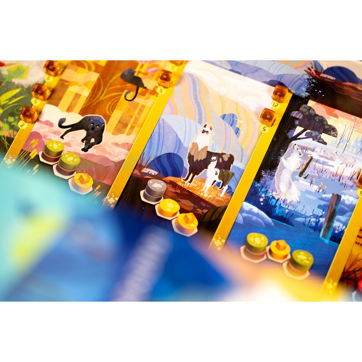 Joc de Masă Asmodee - Jucarii si jocuri, Jocuri și accesorii