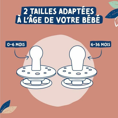 Suzetă Dodie (2 Piese) (2 Unități) - Sănătate și îngrijire personală, Îngrijirea copiilor și puericultură