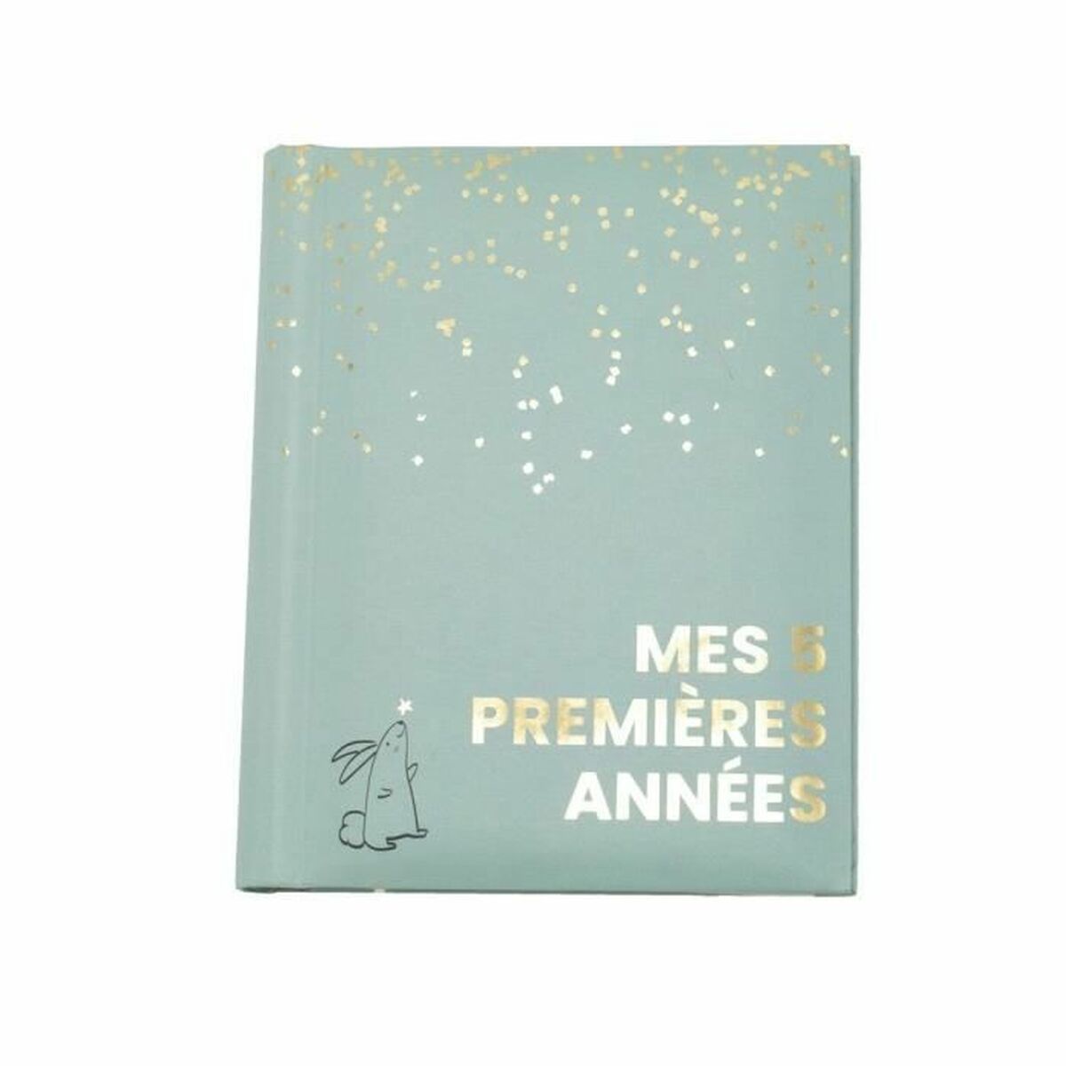 Album Domiva Mes 5 premieres annees - Bebelus, Cadouri pentru nou-născuți