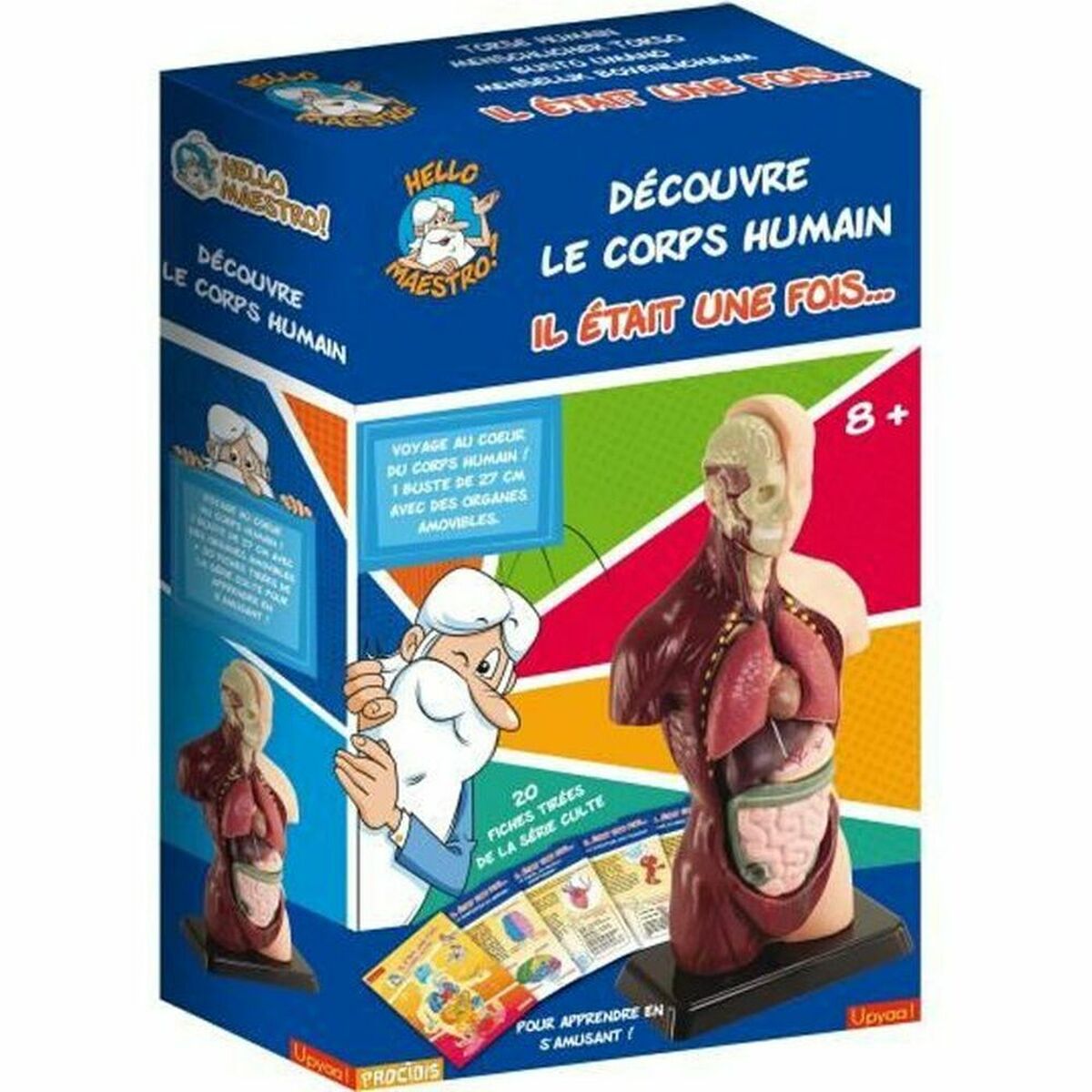 Joc de știință Educa HELLO MAESTRO Bust Anatomy (FR) - Jucarii si jocuri, Învățare și educație
