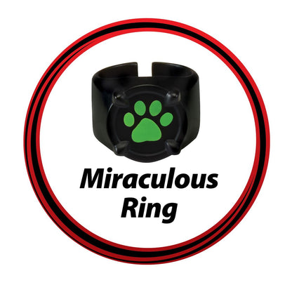 Costum Deghizare pentru Copii Miraculous: Tales of Ladybug & Cat Noir Transformation Set - Cat Noir 4 Piese Negru Multicolor - Jucarii si jocuri, Costume și accesorii