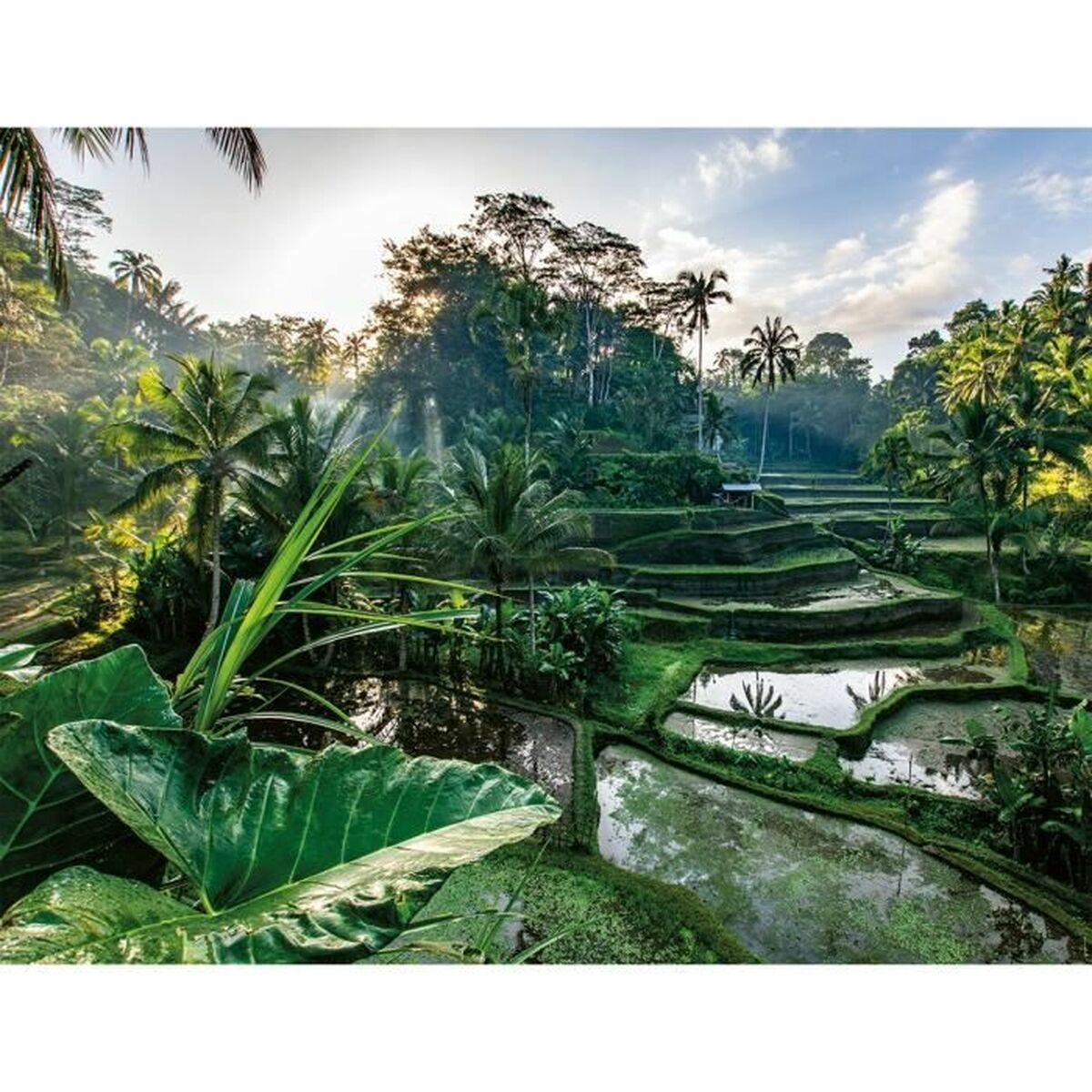 Puzzle Ravensburger Nathan - Jucarii si jocuri, Puzzle-uri și puzzle-uri