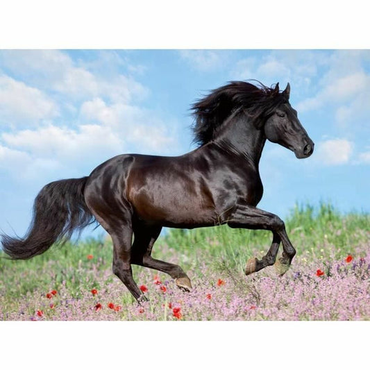 Puzzle Ravensburger 12803 Black Stallion XXL 200 Piese - Jucarii si jocuri, Puzzle-uri și puzzle-uri