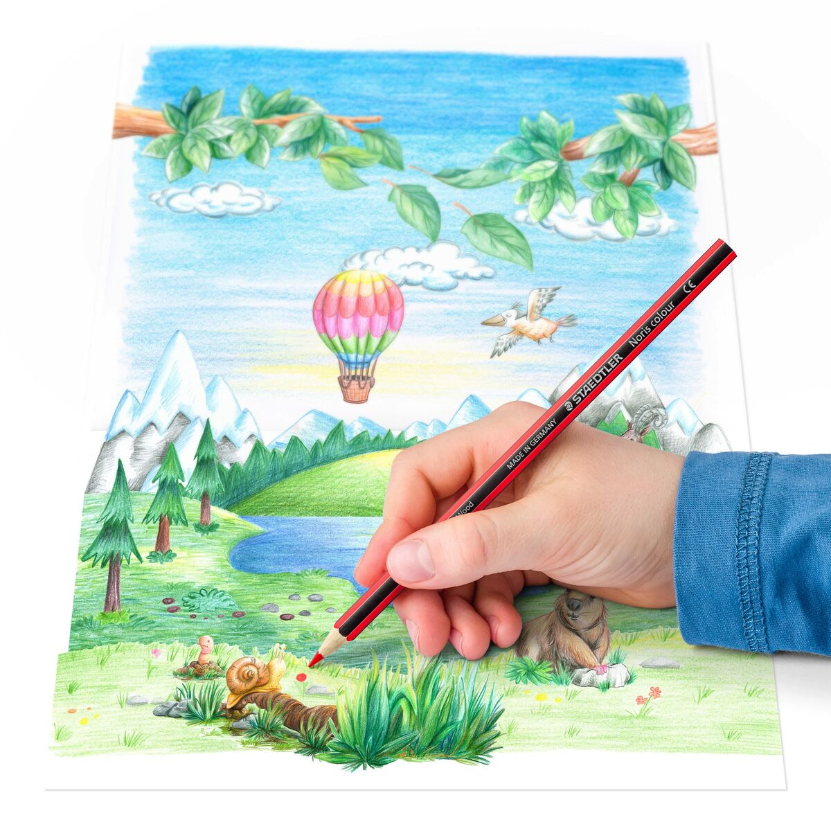 Creioane culori Staedtler Noris Colour WOPEX Gri (12 Unități) - Birou și papetărie, Arte și Meserii