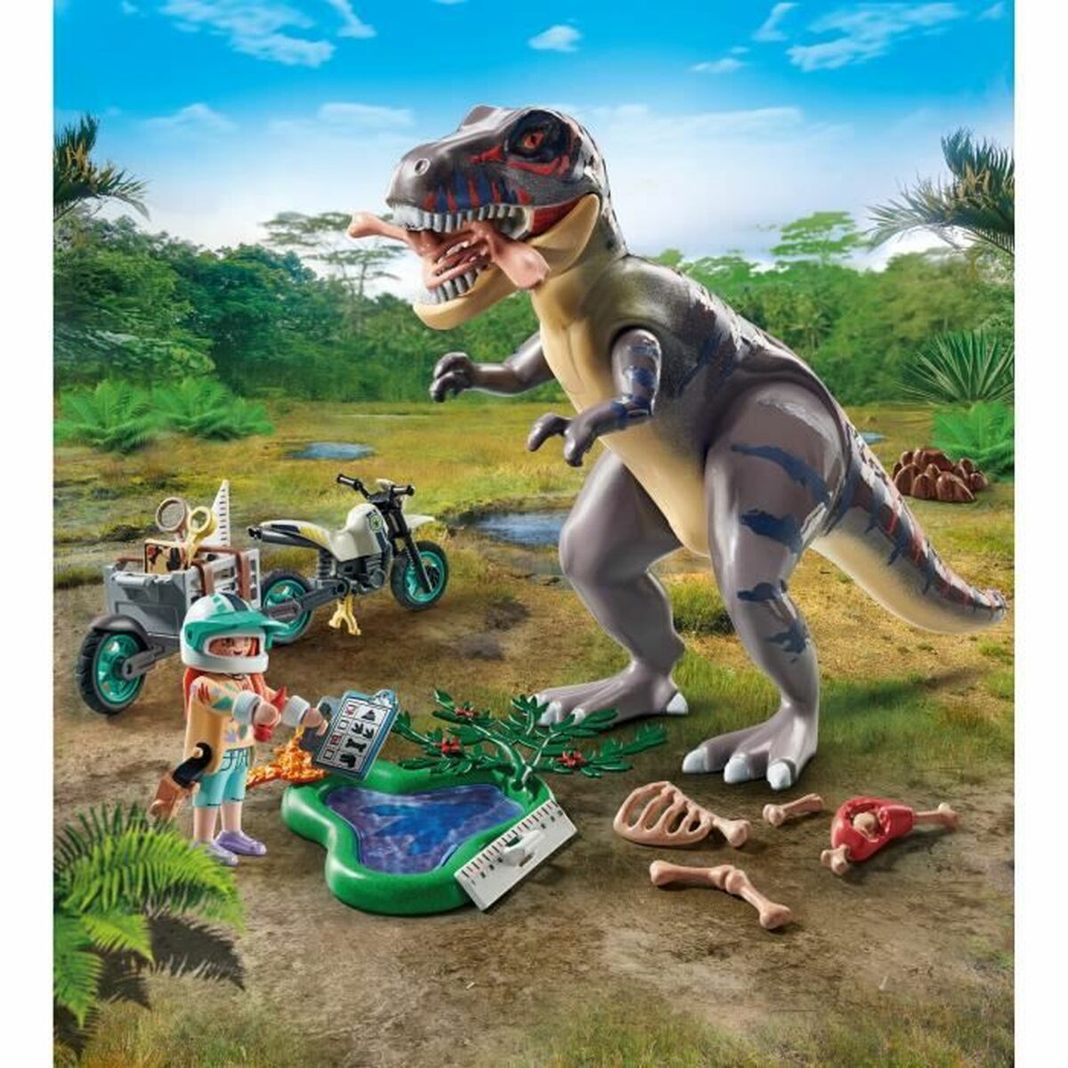 Accesorii pentru căsuțe de păpuși Playmobil - Jucarii si jocuri, Păpuși și accesorii