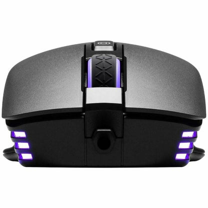 Mouse Gaming Evga X12 - Tehnică de calcul, Accesorii