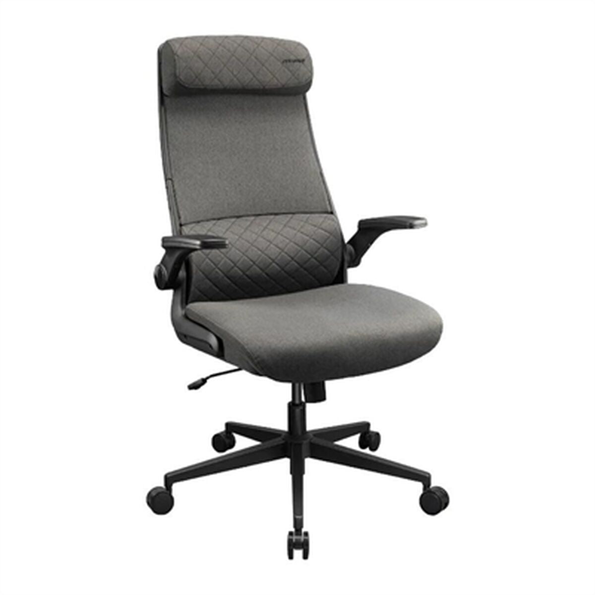 Scaun Gaming Cougar 3MSTDGRB.0001 Negru Gri - Acasă și bucătărie, Mobilă