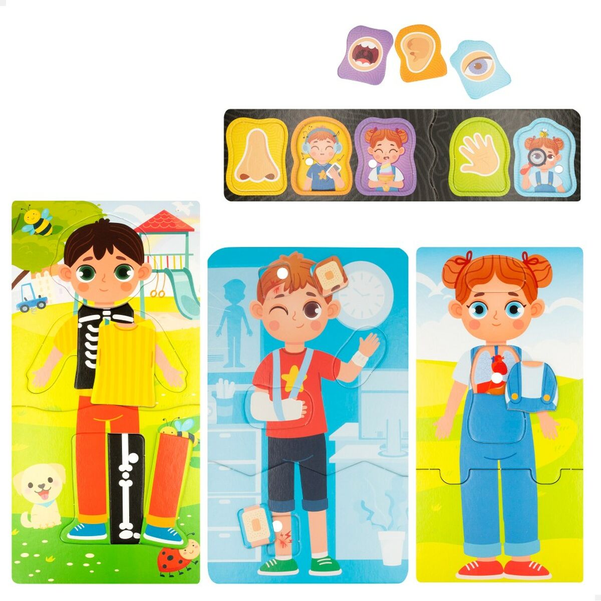 Joc Educativ Lisciani Baby Doctor 22,5 x 0,5 x 47,5 cm (6 Unități) - Jucarii si jocuri, Jocuri și accesorii