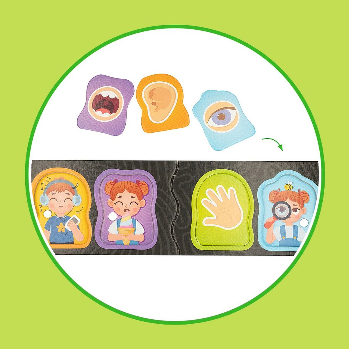 Joc Educativ Lisciani Baby Doctor 22,5 x 0,5 x 47,5 cm (6 Unități) - Jucarii si jocuri, Jocuri și accesorii