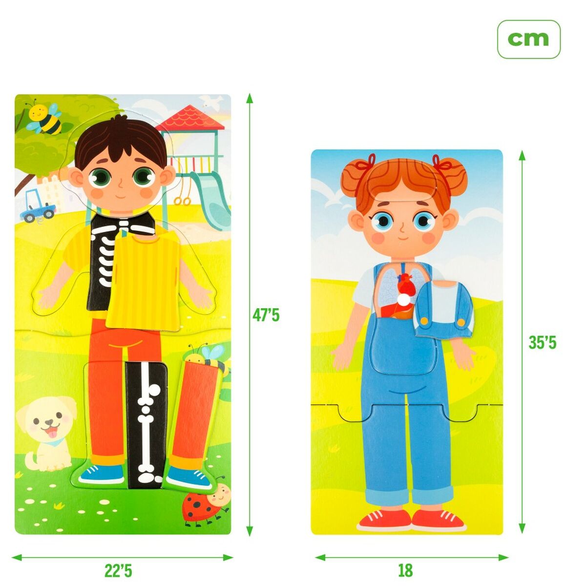 Joc Educativ Lisciani Baby Doctor 22,5 x 0,5 x 47,5 cm (6 Unități) - Jucarii si jocuri, Jocuri și accesorii