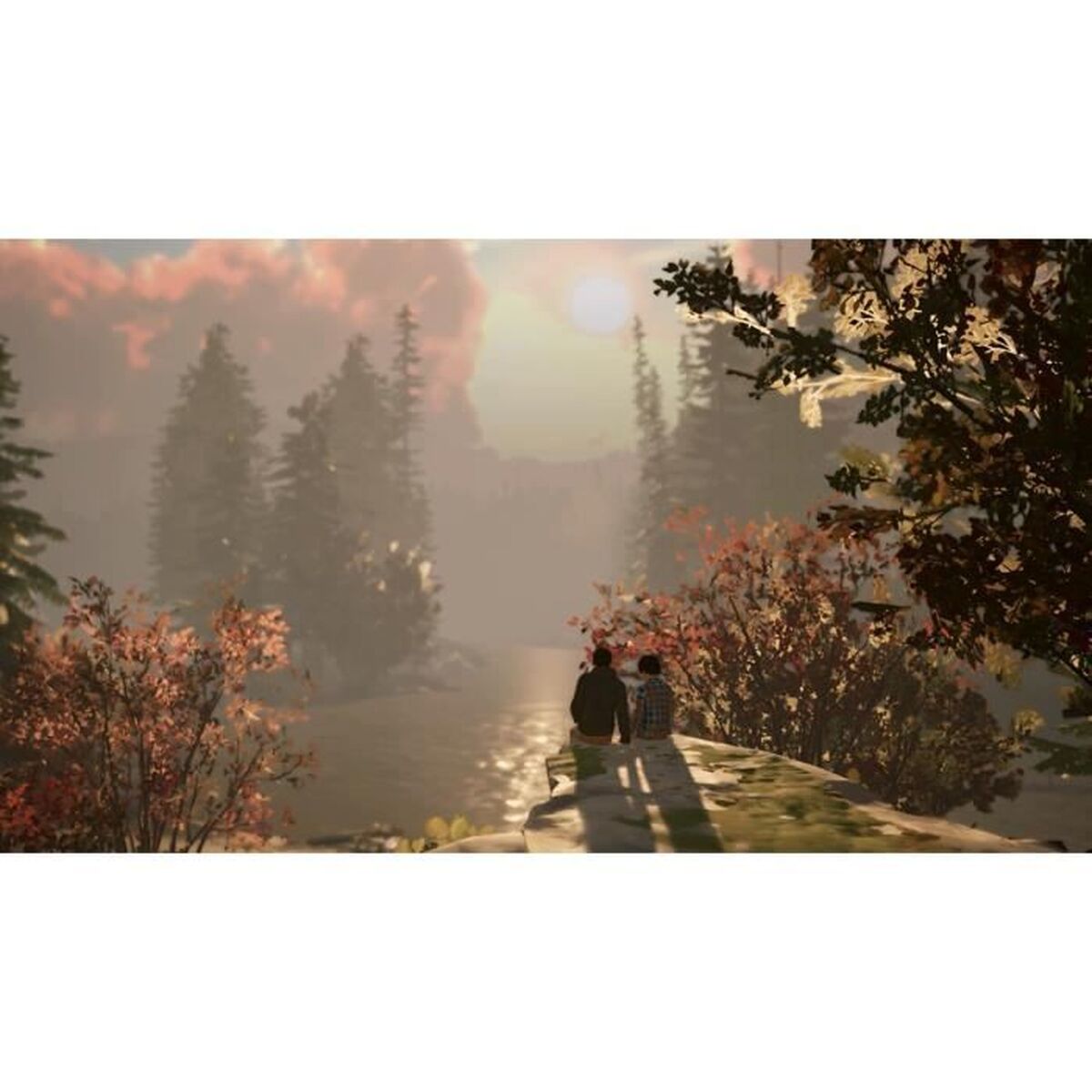 Joc video pentru Switch Square Enix Life is Strange 2 - Electronică, Joc video
