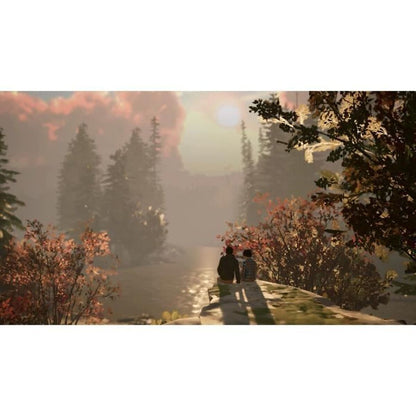 Joc video pentru Switch Square Enix Life is Strange 2 - Electronică, Joc video