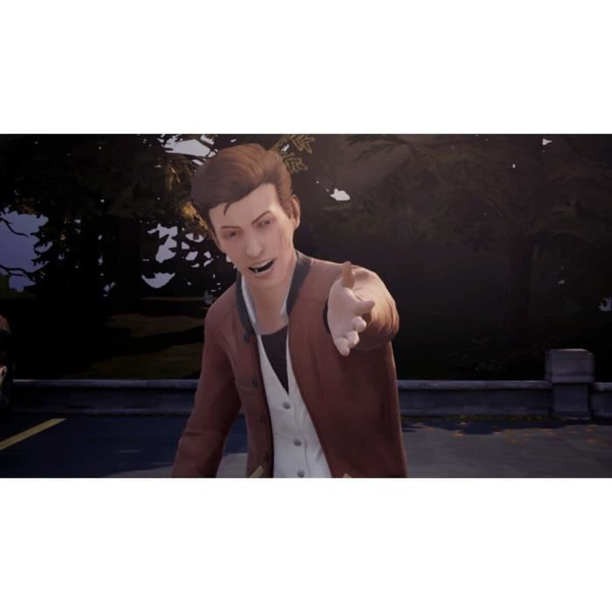 Joc video pentru Switch Square Enix Life is Strange Arcadia Bay Collection - Electronică, Joc video