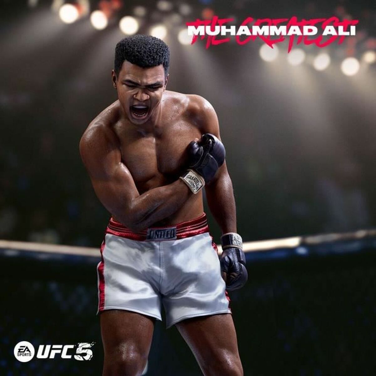 Joc video PlayStation 5 Electronic Arts UFC 5 2316 Piese - Electronică, Joc video