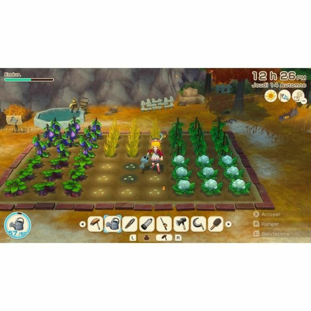 Joc video pentru Switch Just For Games Story of Seasons Grand Bazaar : Limited Edition - Electronică, Joc video