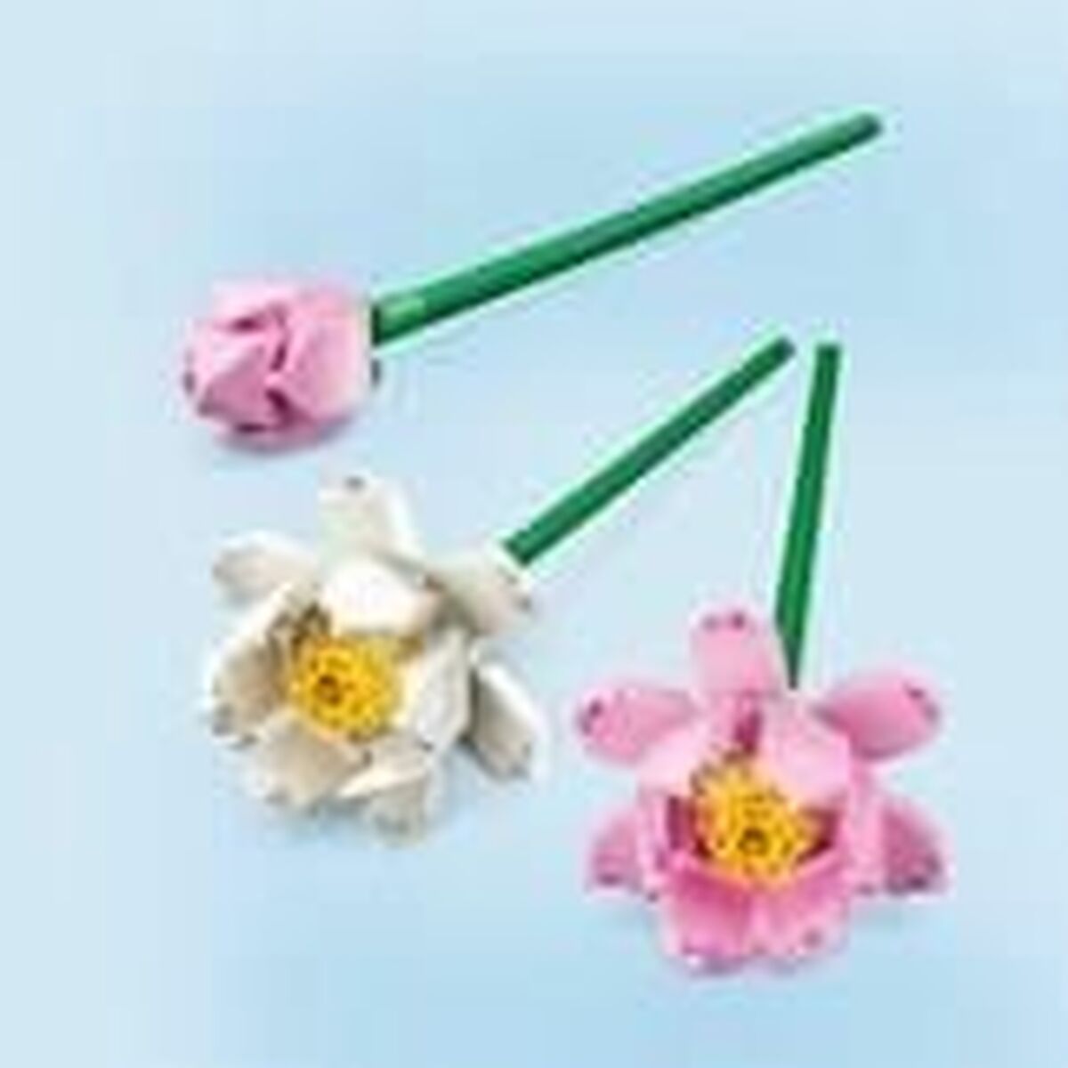 Set de Construcție Lego 40647 Lotus Flower Multicolor - Jucarii si jocuri