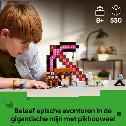 Set de Construcție Lego 21277 - Jucarii si jocuri