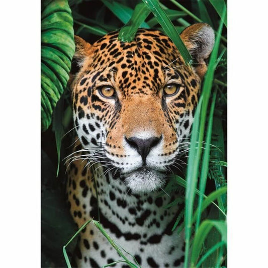 Puzzle Clementoni 500 Piese - Jucarii si jocuri, Puzzle-uri și puzzle-uri