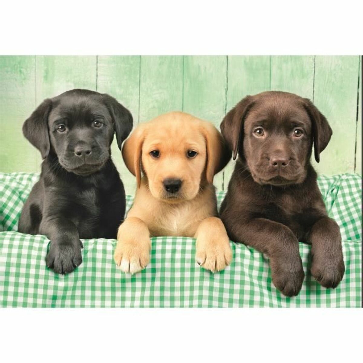 Puzzle Clementoni 1000 Piese - Jucarii si jocuri, Puzzle-uri și puzzle-uri