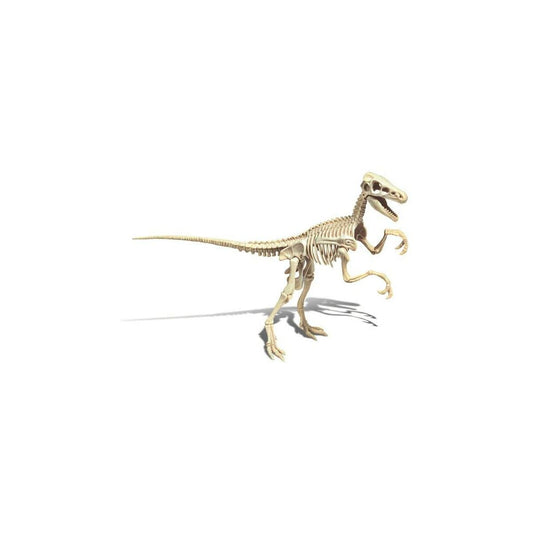 Dinozaur Clementoni Archéo Ludic Vélociraptor - Jucarii si jocuri, Învățare și educație