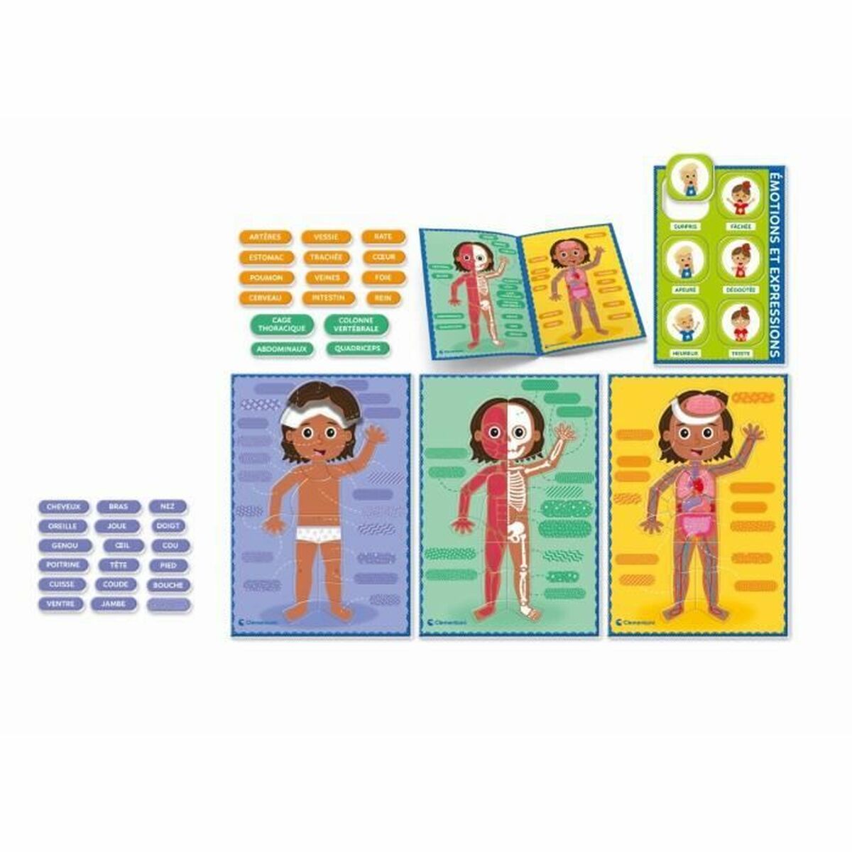 Joc Educativ Clementoni Le Corps Humain (FR) - Jucarii si jocuri, Jocuri și accesorii