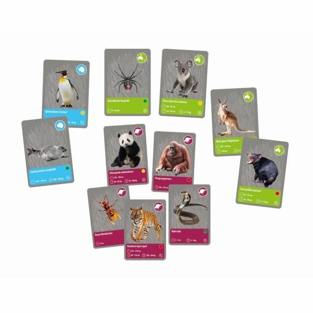 V3H001AB66629E864FF0EAF81919CF94E6FR5288393P6