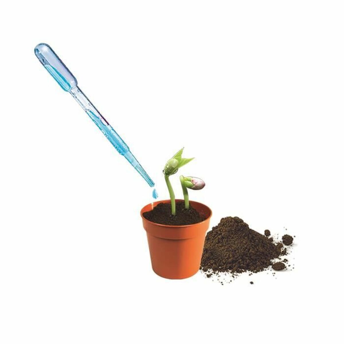 Joc de știință Clementoni CLEMENTONI - Jucarii si jocuri, Jocuri și accesorii