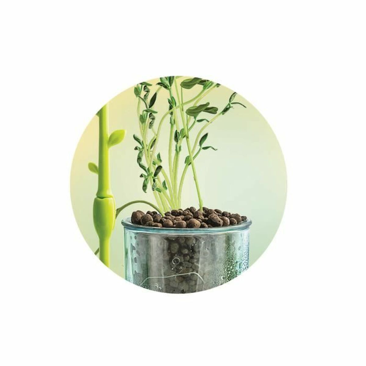 Joc de știință Clementoni CLEMENTONI - Jucarii si jocuri, Jocuri și accesorii