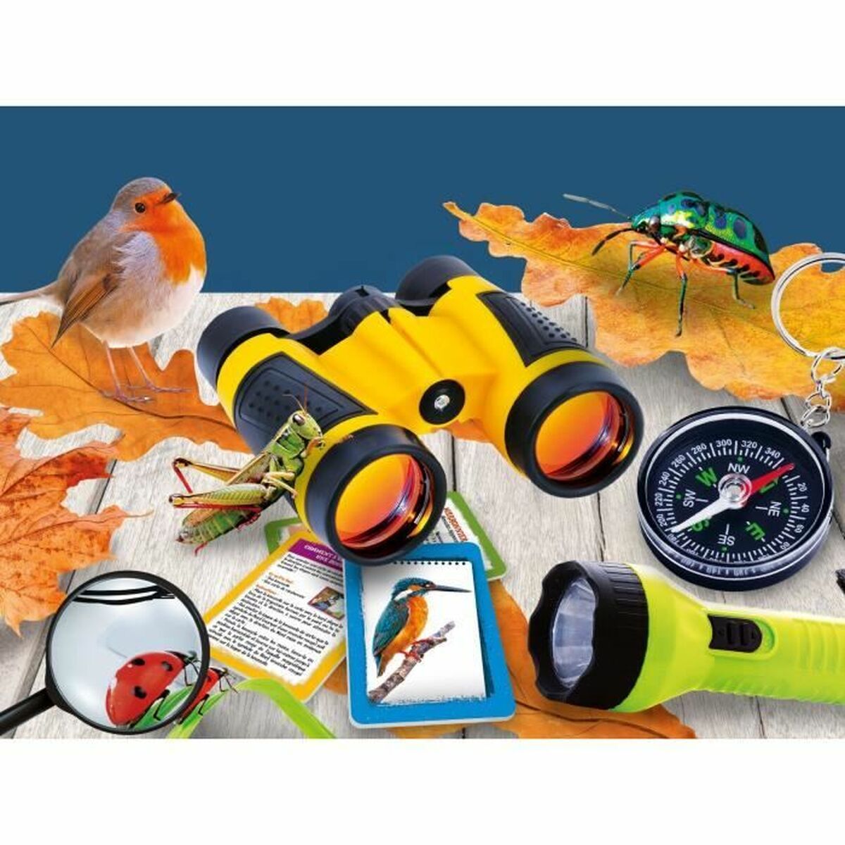 Jucărie educațională Lisciani Giochi Kit d'exploration de la nature (FR) - Jucarii si jocuri, Jocuri și accesorii