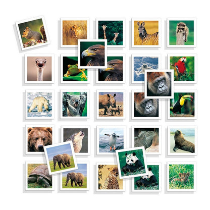 Joc Educativ Diset Memo Photo Animales 54 Piese - Jucarii si jocuri, Jocuri și accesorii